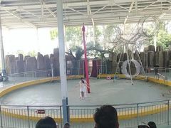 -泉州海丝野生动物世界