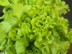 -葛记红焖羊肉(人民路店)