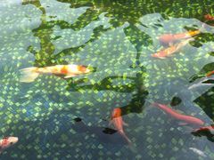 -云漫湖生态度假公园