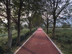 -帐篷客·溪龙茶谷度假酒店