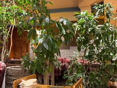 -慢丽江·云南野生菌土鸡锅(付家庄店)