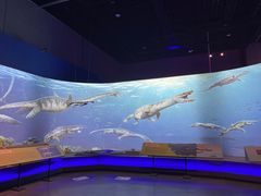 -浙江自然博物院(杭州馆)