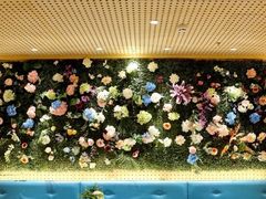 -青瓷火锅料理(西单大悦城店)