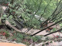 -巴倒烫陆派火锅山庄(南山总店)