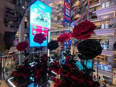 -红星美凯龙北京至尊MALL(东四环中路店)