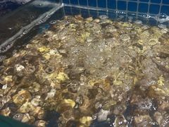 水产区-喜多鲜生海鲜自助(无锡旗舰店)