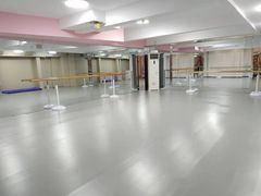 -蒲公英舞蹈艺术中心(解放路校区)