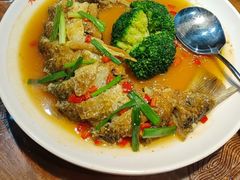 -黄连大头华烧鹅店(大良店)