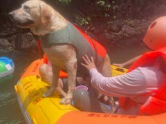 -安吉龙王山峡谷漂流