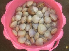 -南汇新城海滩