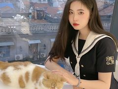 -怪兽屋·羊驼·猫咖·狗咖(俊华广场店)