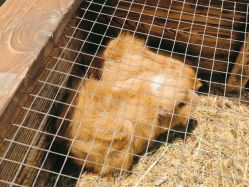 -酷嗒动物文化乐园(cutezoo西溪乐天城店)