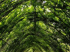 -芜湖方特东方神画