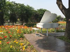 -鹅湖玫瑰文化园