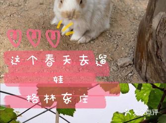 这个春天去遛娃  格林东庄