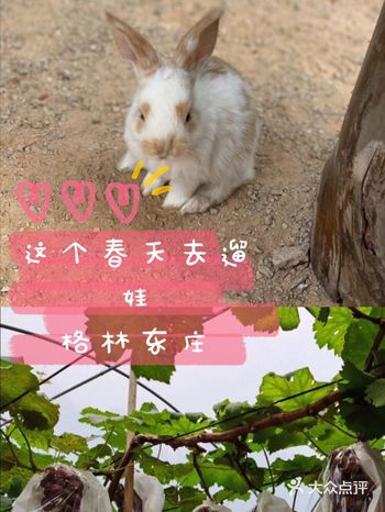 这个春天去遛娃  格林东庄