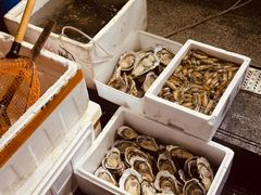 -阳江餐厅·30年老字号·粤菜海鲜大排档