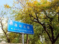 -八大关景区