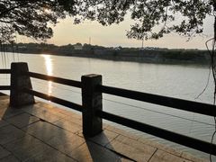 -大湾区中央湿地公园