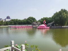 -莲花池公园