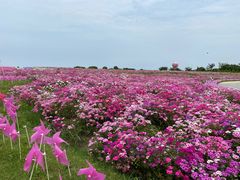 -歌斐颂巧克力小镇