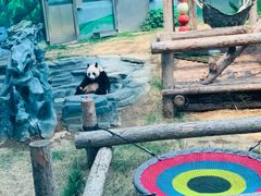 -大连森林动物园