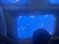 -珠海横琴国家地理探险家中心(创新方)