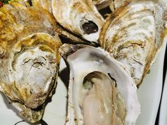 白灼生蚝-大院涮烤·东北经典老味烧烤·铜锅涮肉(江南东路店)