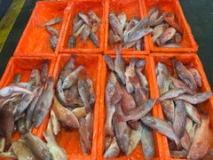 -海峡水产品交易中心(海鲜交易区)