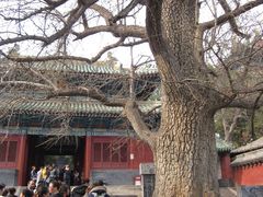 景点-少林寺景区