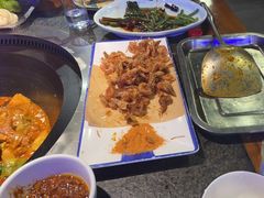-挂雪铁锅炖大鹅