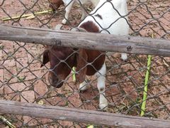 -静之湖湖畔餐厅