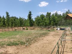 -秦皇岛野生动物园