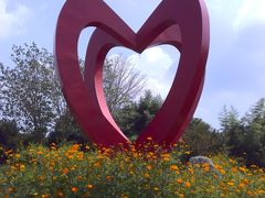 -泰山花样年华景区