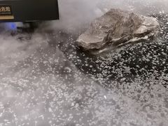 -雅苑中餐厅