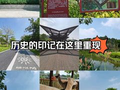 -王借岗森林公园