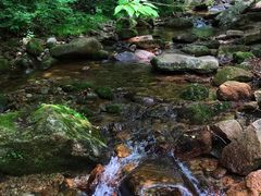 -本溪汤沟绿石谷森林公园