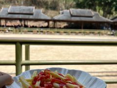 -野象谷景区