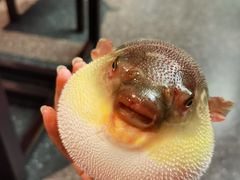 -永安鱼庄·镇江菜(东吴路店)