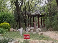 -云岗森林公园