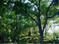 -玲珑塔公园