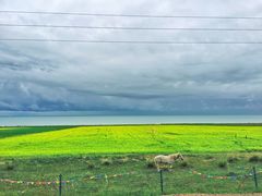 -青海湖国家重点风景名胜区