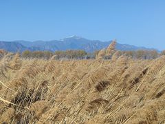 -野鸭湖国家湿地公园