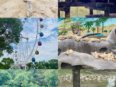 -上海野生动物园