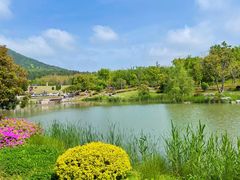 -牛首山文化旅游区