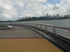 -野狸岛