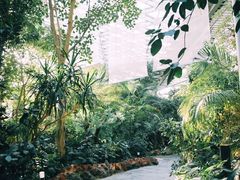 -遵化市禅林寺古银杏风景园