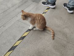 -天津妈祖文化园