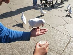 -无锡动物园·太湖欢乐园