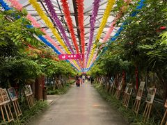 -南宫五洲植物乐园